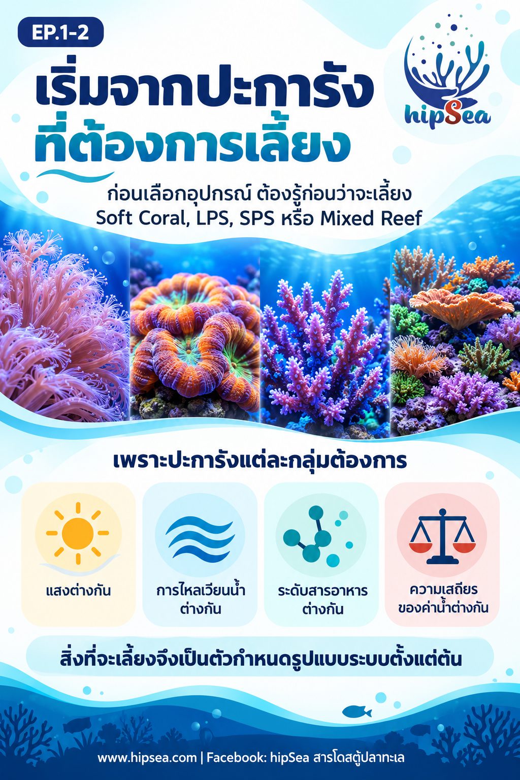 ก่อนเลี้ยงต้องรู้ EP1 - อุปกรณ์, มือใหม่