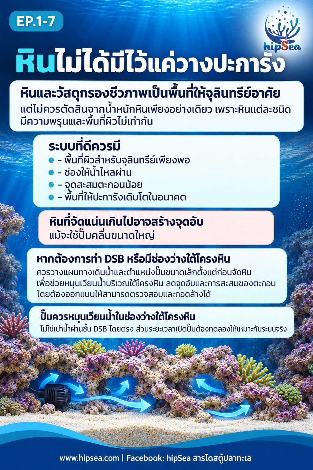 ก่อนเลี้ยงต้องรู้ EP1 - อุปกรณ์, มือใหม่