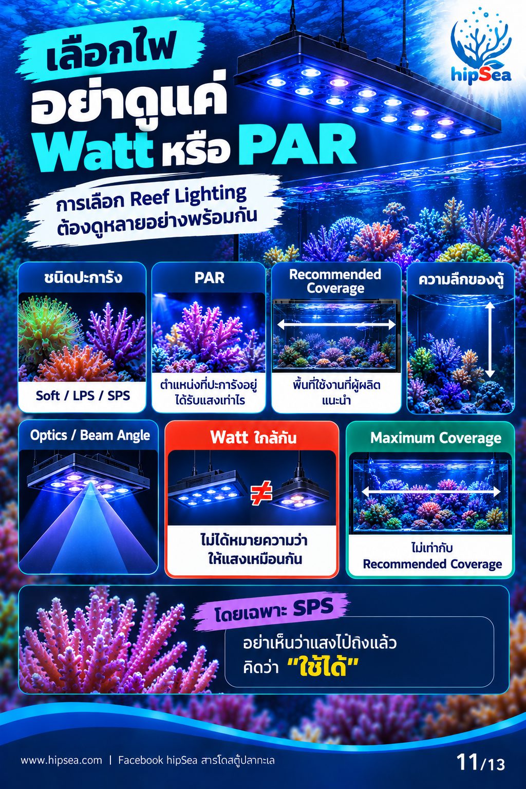 ก่อนเลี้ยงต้องรู้ EP2 - มือใหม่, อุปกรณ์, ไฟ, สกิม
