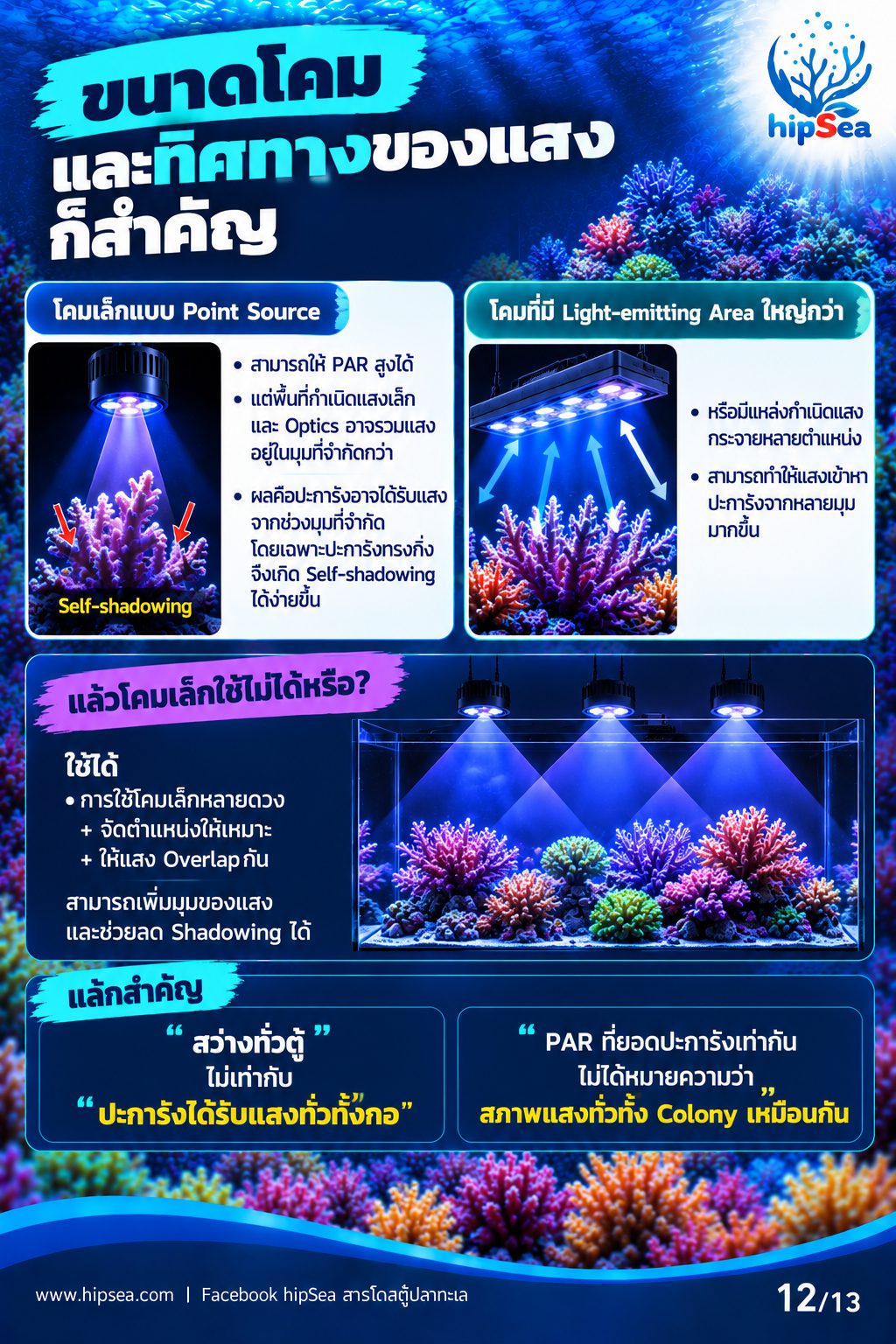 ก่อนเลี้ยงต้องรู้ EP2 - มือใหม่, อุปกรณ์, ไฟ, สกิม