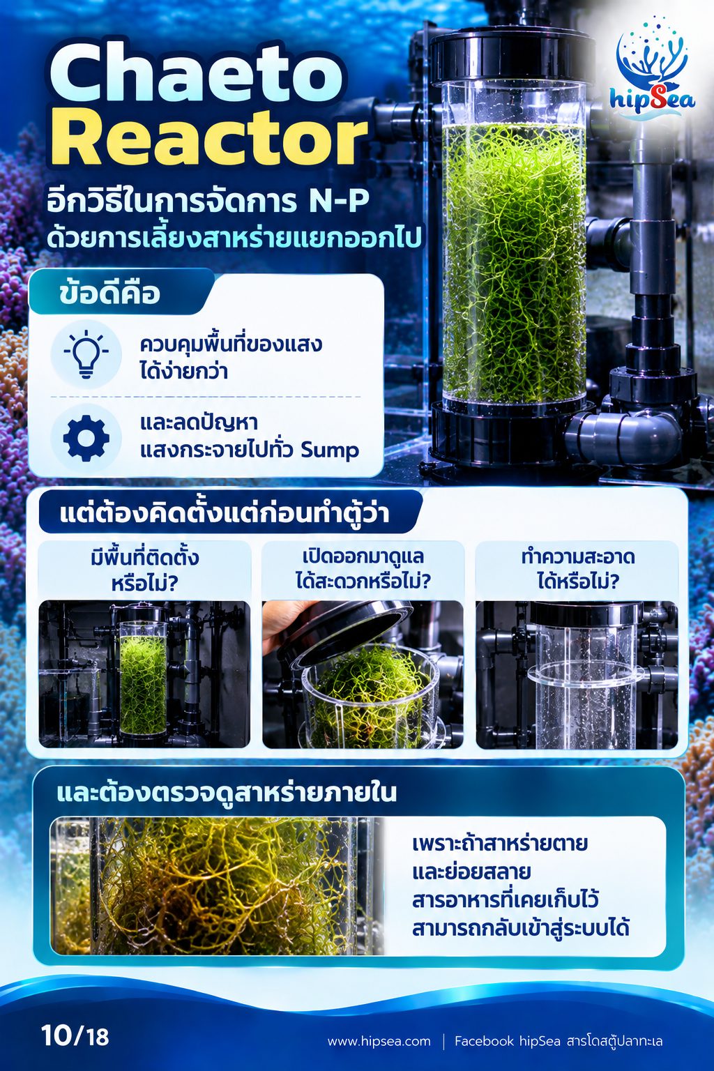 ก่อนเลี้ยงต้องรู้ EP3 - ATS, media, chaeto, dsb