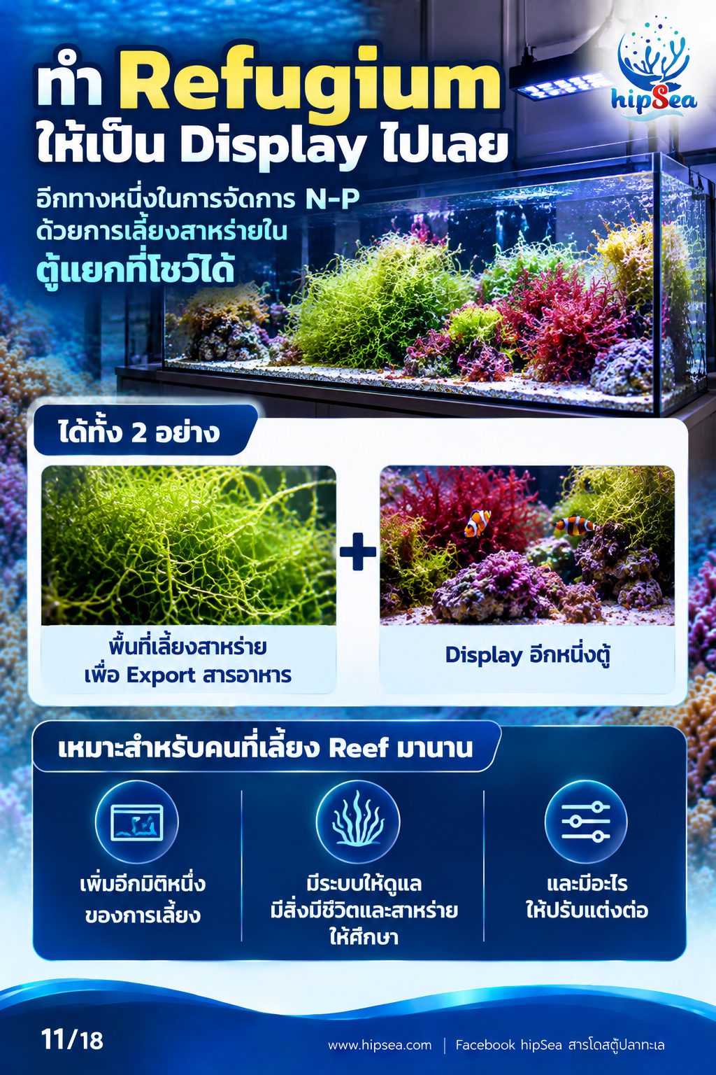 ก่อนเลี้ยงต้องรู้ EP3 - ATS, media, chaeto, dsb