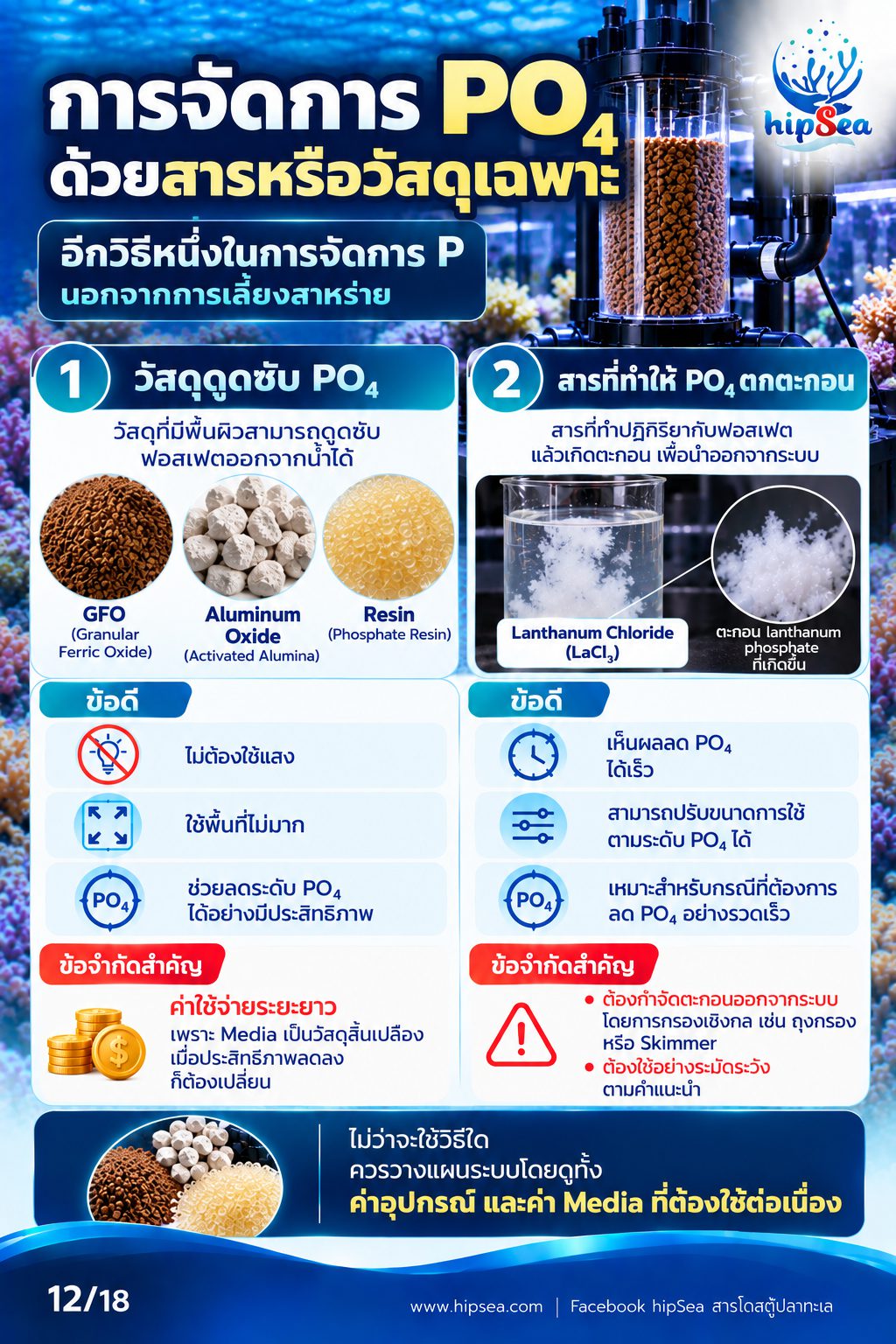 ก่อนเลี้ยงต้องรู้ EP3 - ATS, media, chaeto, dsb
