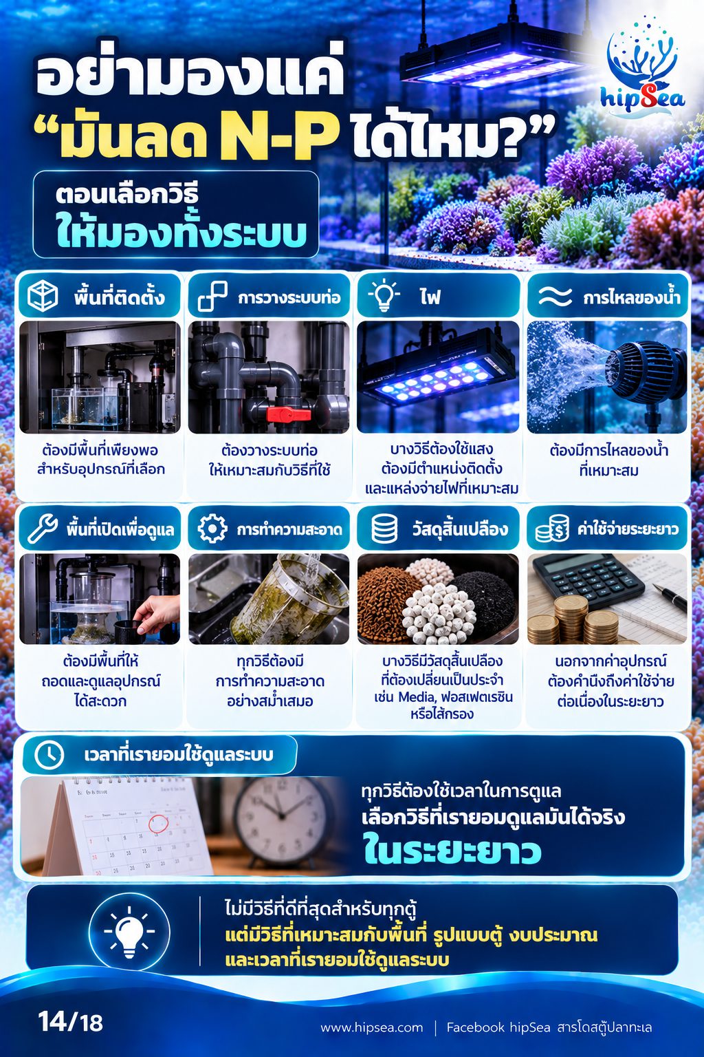 ก่อนเลี้ยงต้องรู้ EP3 - ATS, media, chaeto, dsb