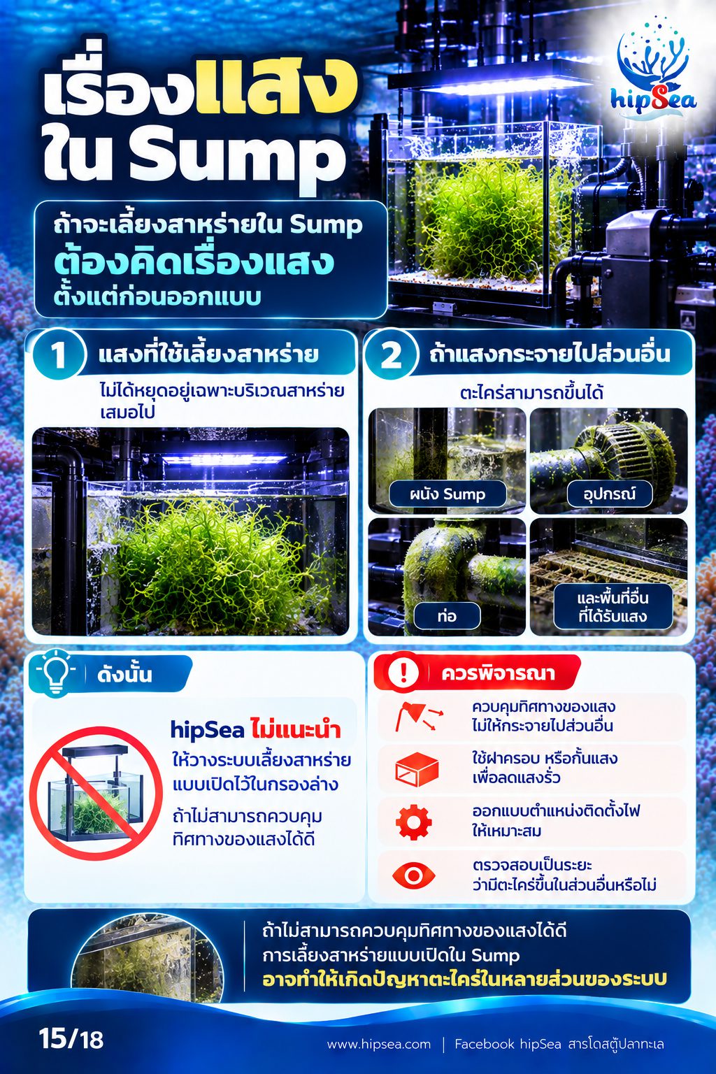 ก่อนเลี้ยงต้องรู้ EP3 - ATS, media, chaeto, dsb