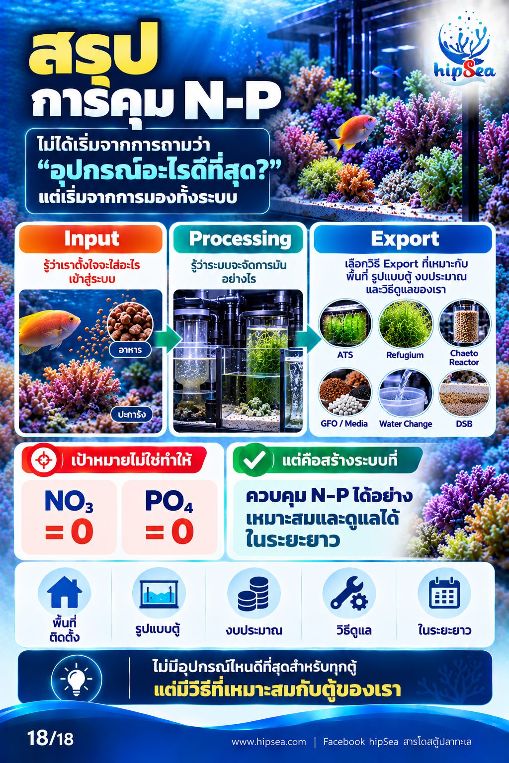 ก่อนเลี้ยงต้องรู้ EP3 - ATS, media, chaeto, dsb