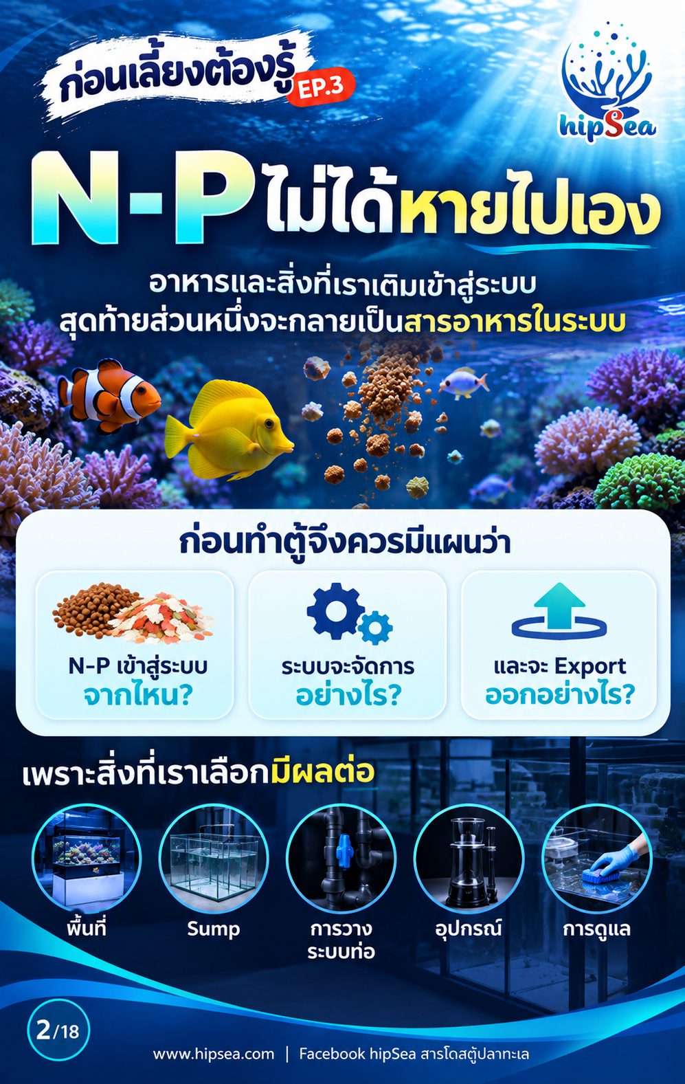 ก่อนเลี้ยงต้องรู้ EP3 - ATS, media, chaeto, dsb