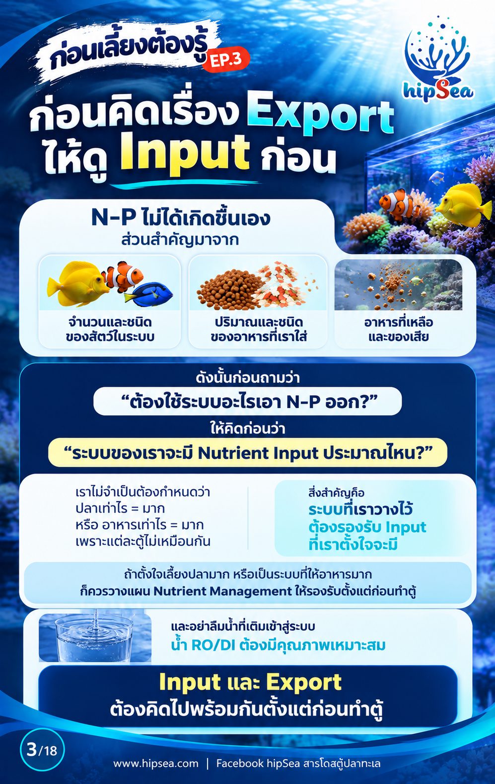 ก่อนเลี้ยงต้องรู้ EP3 - ATS, media, chaeto, dsb