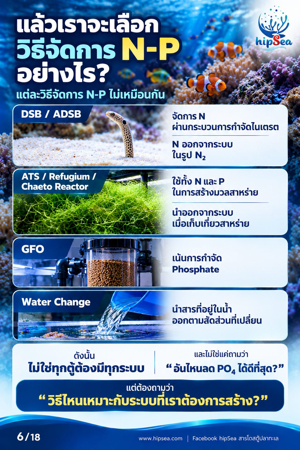 ก่อนเลี้ยงต้องรู้ EP3 - ATS, media, chaeto, dsb