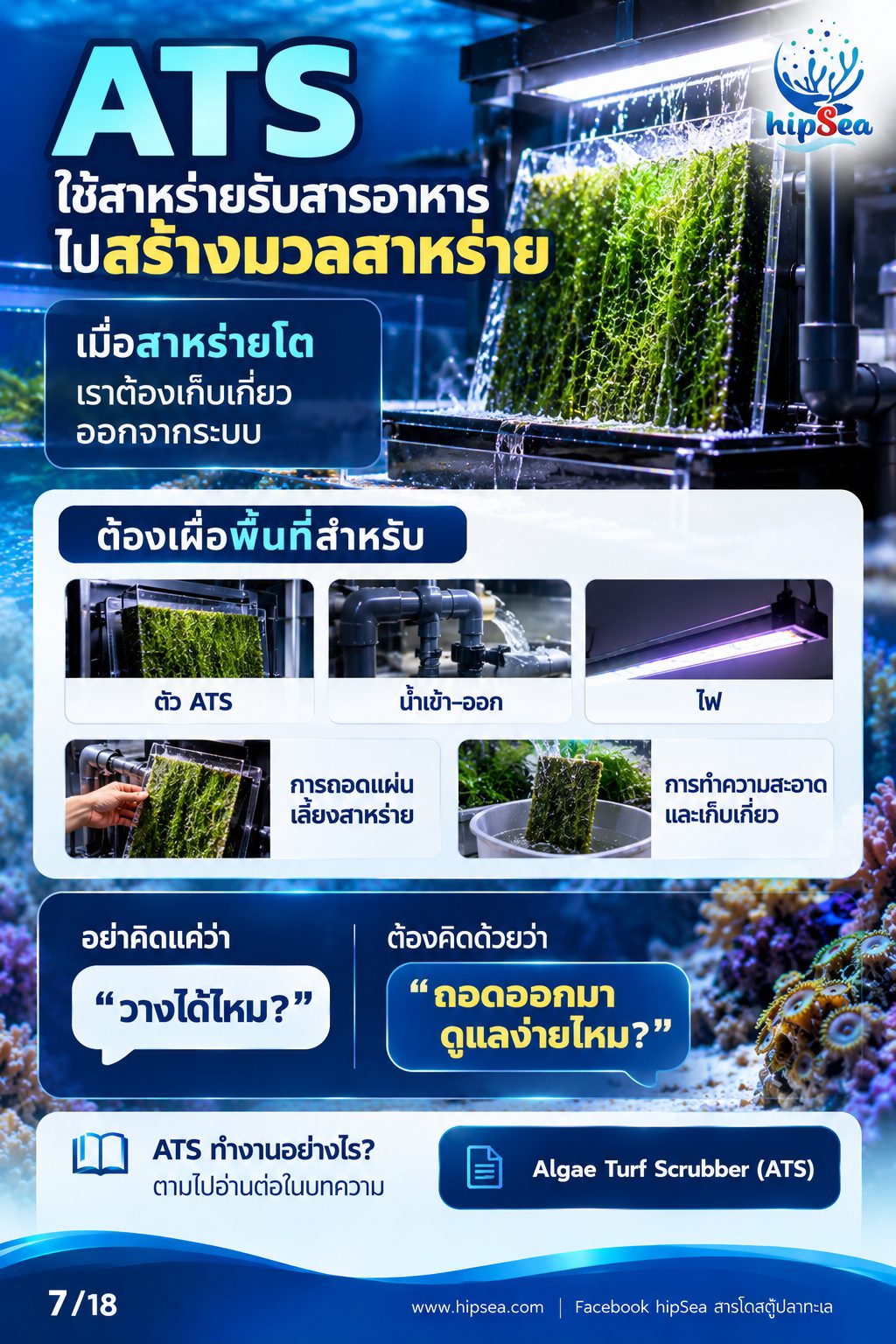 ก่อนเลี้ยงต้องรู้ EP3 - ATS, media, chaeto, dsb