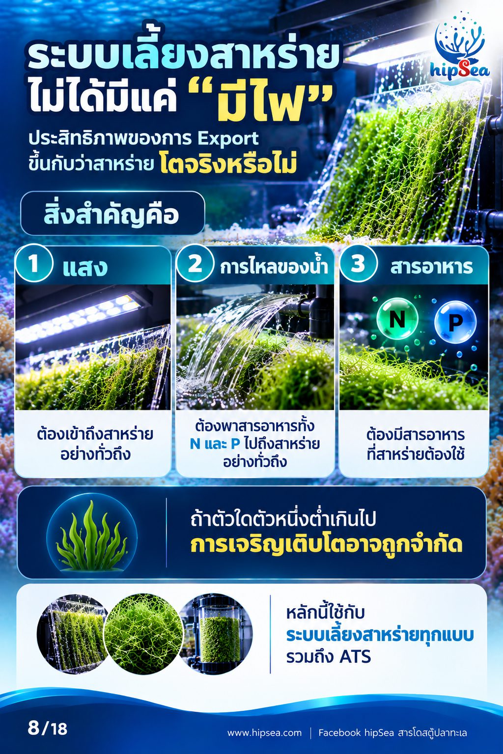 ก่อนเลี้ยงต้องรู้ EP3 - ATS, media, chaeto, dsb
