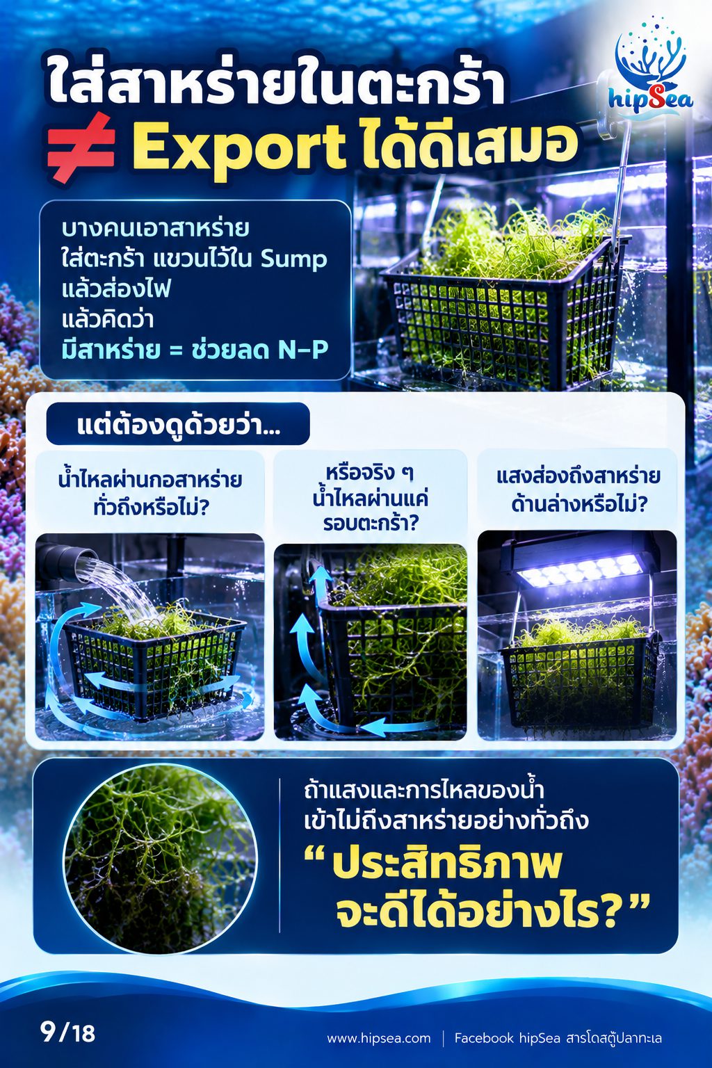 ก่อนเลี้ยงต้องรู้ EP3 - ATS, media, chaeto, dsb
