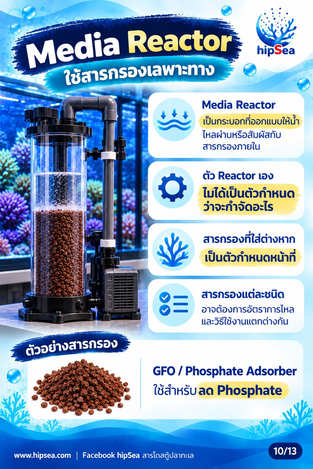 ก่อนเลี้ยงต้องรู้ EP4 - อุปกรณ์, ปั๊มคลื่น, chiller, dosing
