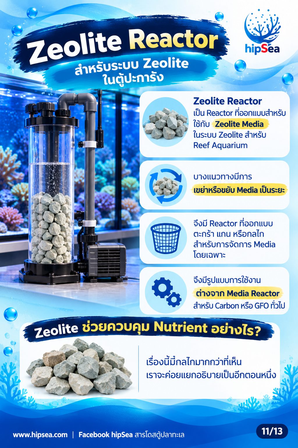 ก่อนเลี้ยงต้องรู้ EP4 - อุปกรณ์, ปั๊มคลื่น, chiller, dosing