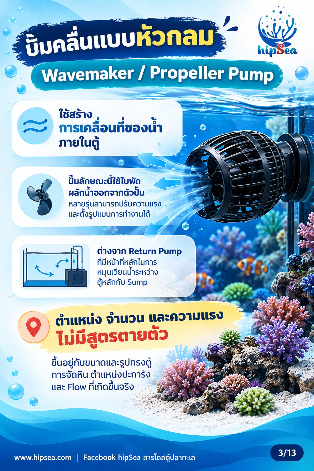 ก่อนเลี้ยงต้องรู้ EP4 - อุปกรณ์, ปั๊มคลื่น, chiller, dosing