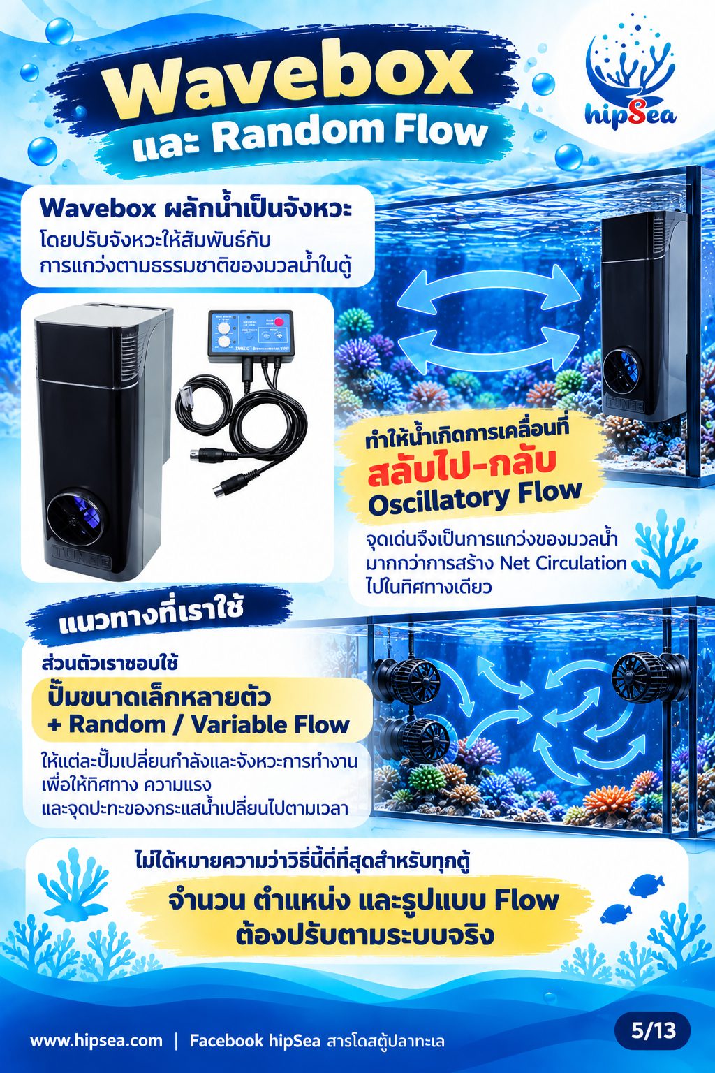 ก่อนเลี้ยงต้องรู้ EP4 - อุปกรณ์, ปั๊มคลื่น, chiller, dosing