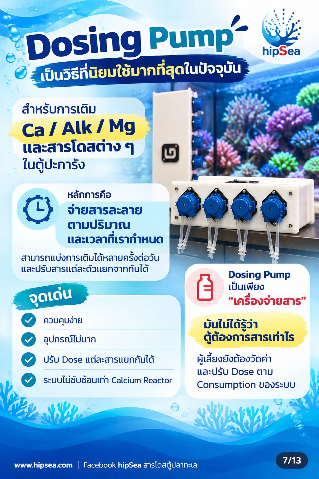 ก่อนเลี้ยงต้องรู้ EP4 - อุปกรณ์, ปั๊มคลื่น, chiller, dosing