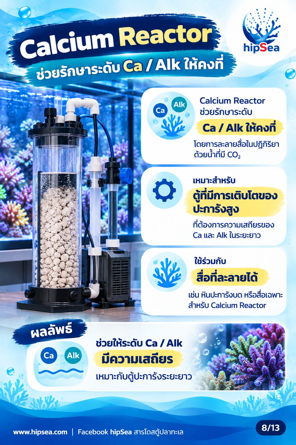 ก่อนเลี้ยงต้องรู้ EP4 - อุปกรณ์, ปั๊มคลื่น, chiller, dosing