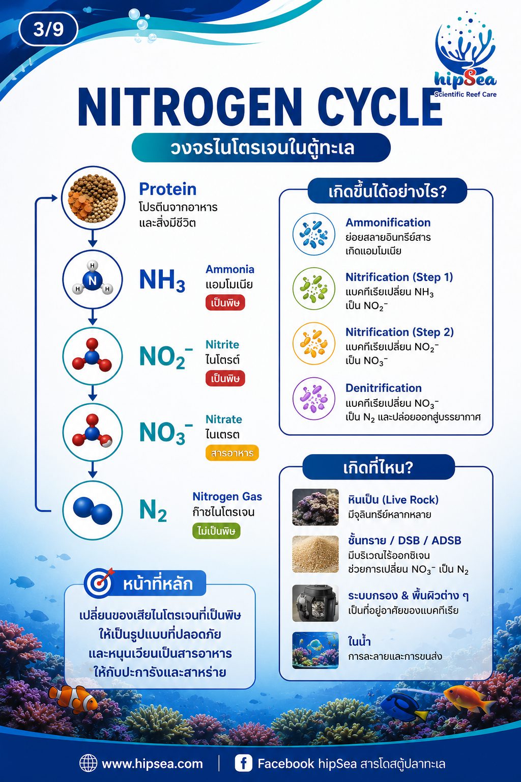 ตู้ทะเลไม่ได้มีแค่ Nitrogen Cycle - วัฏจักร, carbon, phos, คาร์บอน, ไนโตรเจน, ฟอส