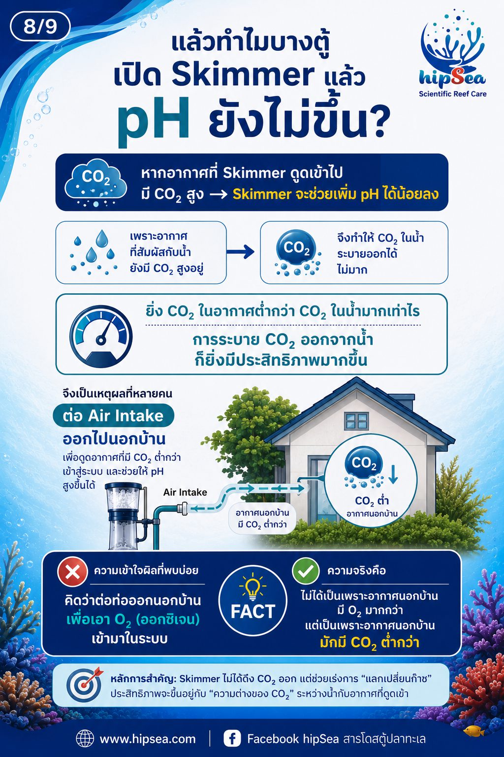 ตู้ทะเลไม่ได้มีแค่ Nitrogen Cycle - วัฏจักร, carbon, phos, คาร์บอน, ไนโตรเจน, ฟอส