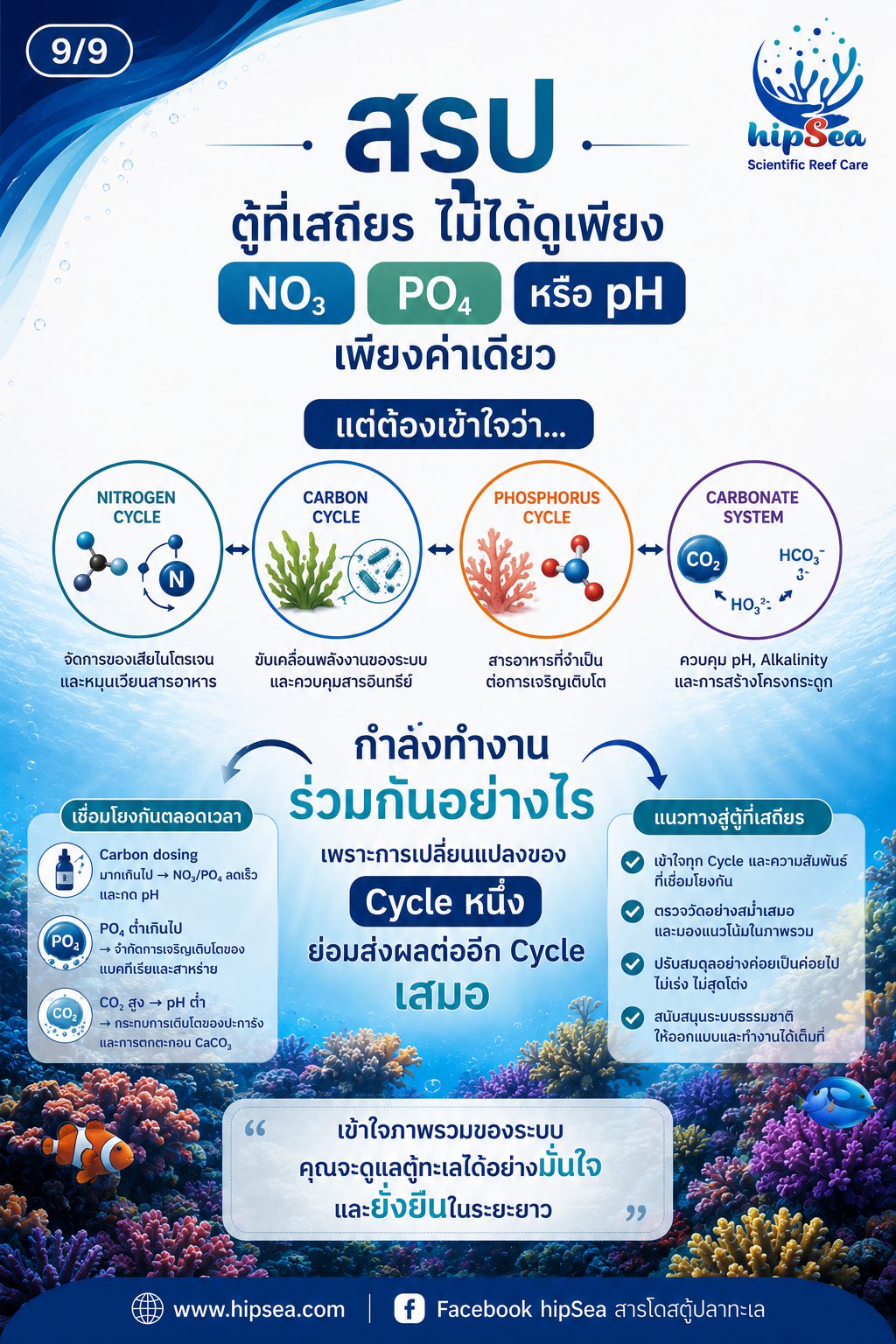 ตู้ทะเลไม่ได้มีแค่ Nitrogen Cycle - วัฏจักร, carbon, phos, คาร์บอน, ไนโตรเจน, ฟอส