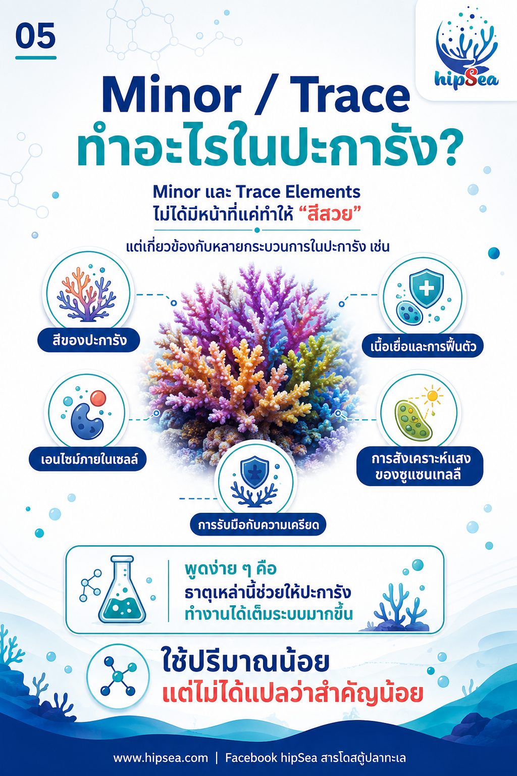 เปลี่ยนน้ำอย่างเดียวพอไหม - ธาตุรอง, Trace, elements