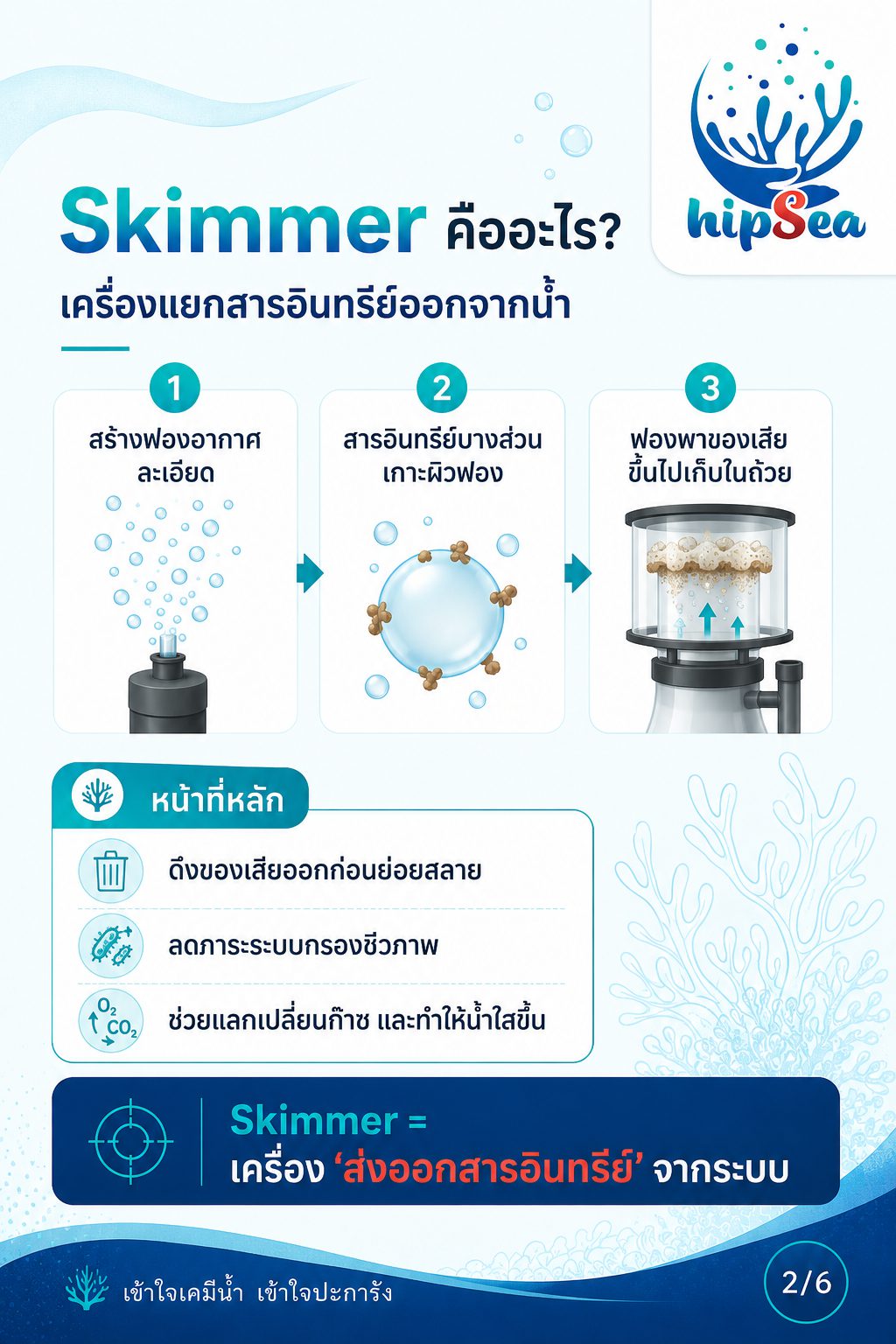 Skimmer ยิ่งใหญ่ยิ่งดีจริงหรือ