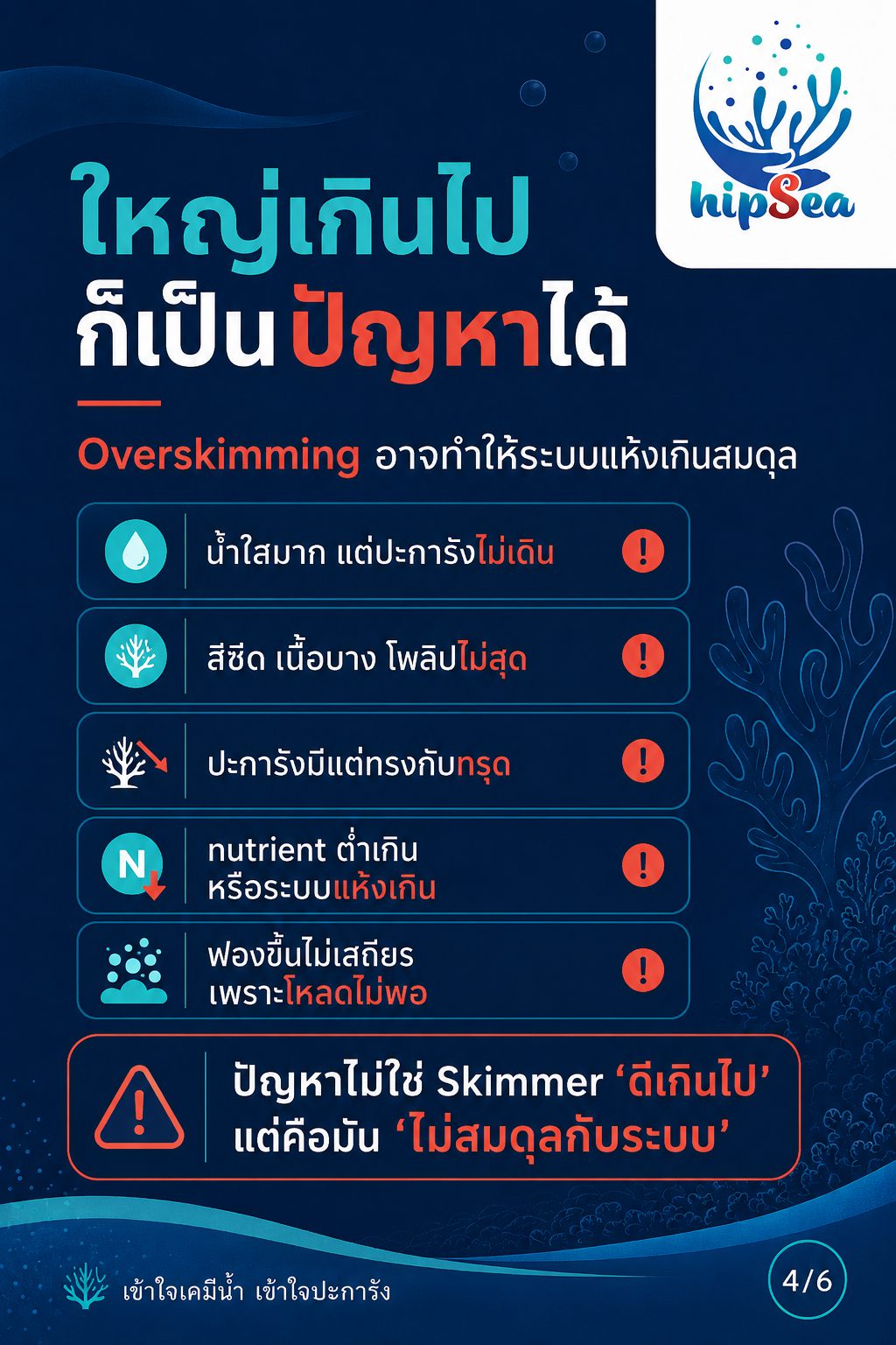 Skimmer ยิ่งใหญ่ยิ่งดีจริงหรือ