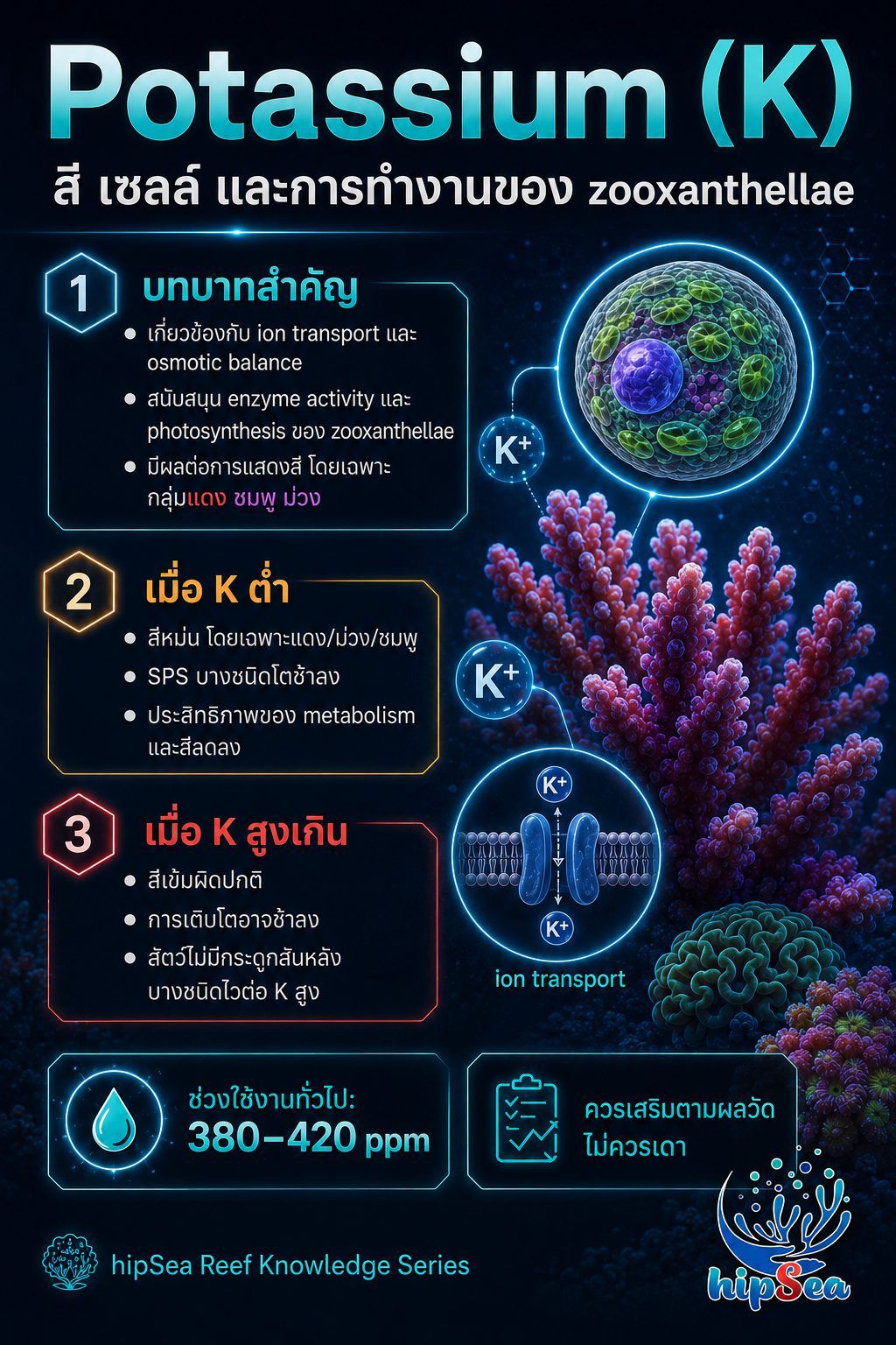 ธาตุหลักสำหรับตู้ทะเล