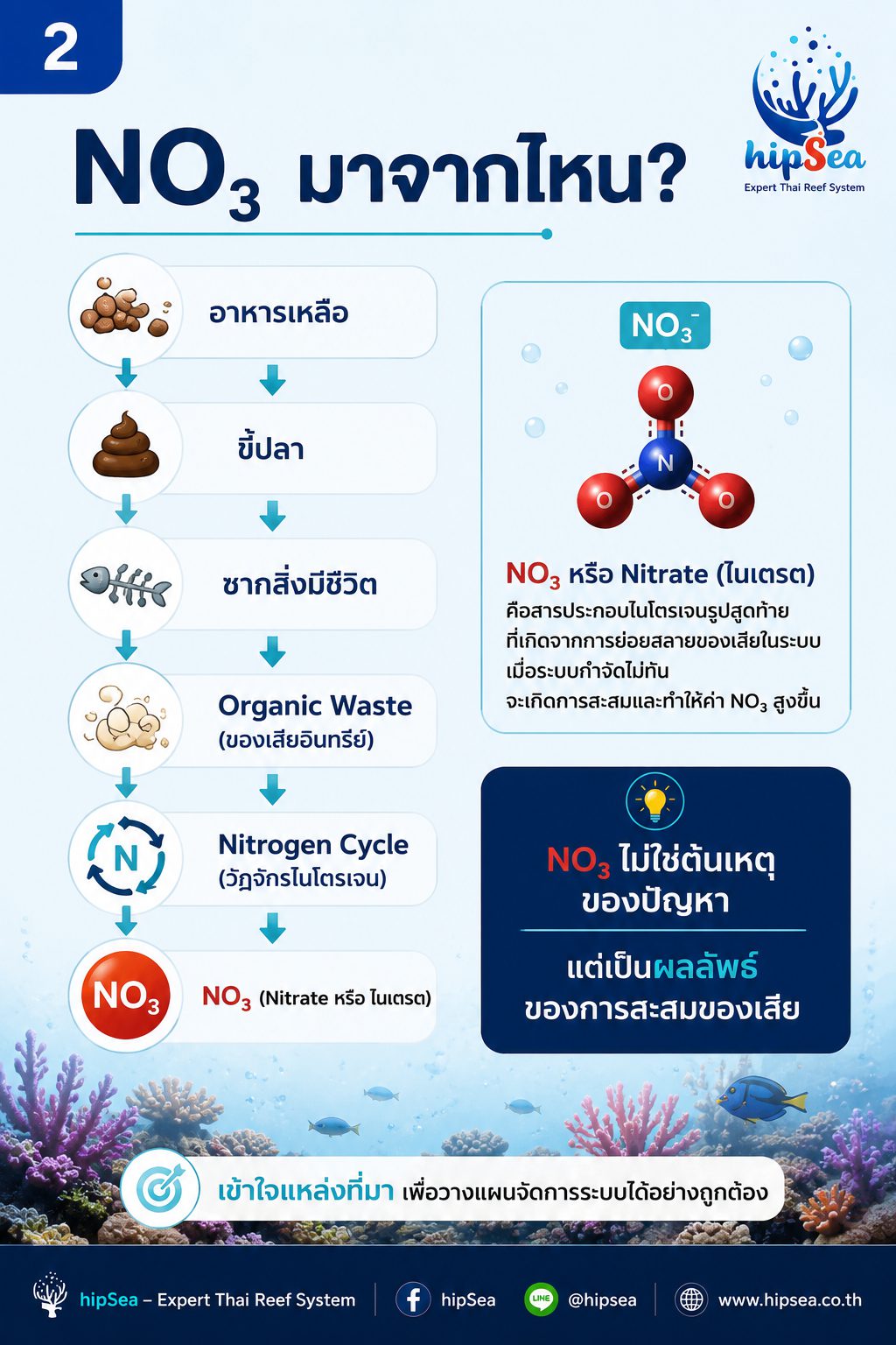 NO3 สูงแก้ที่ต้นเหตุ