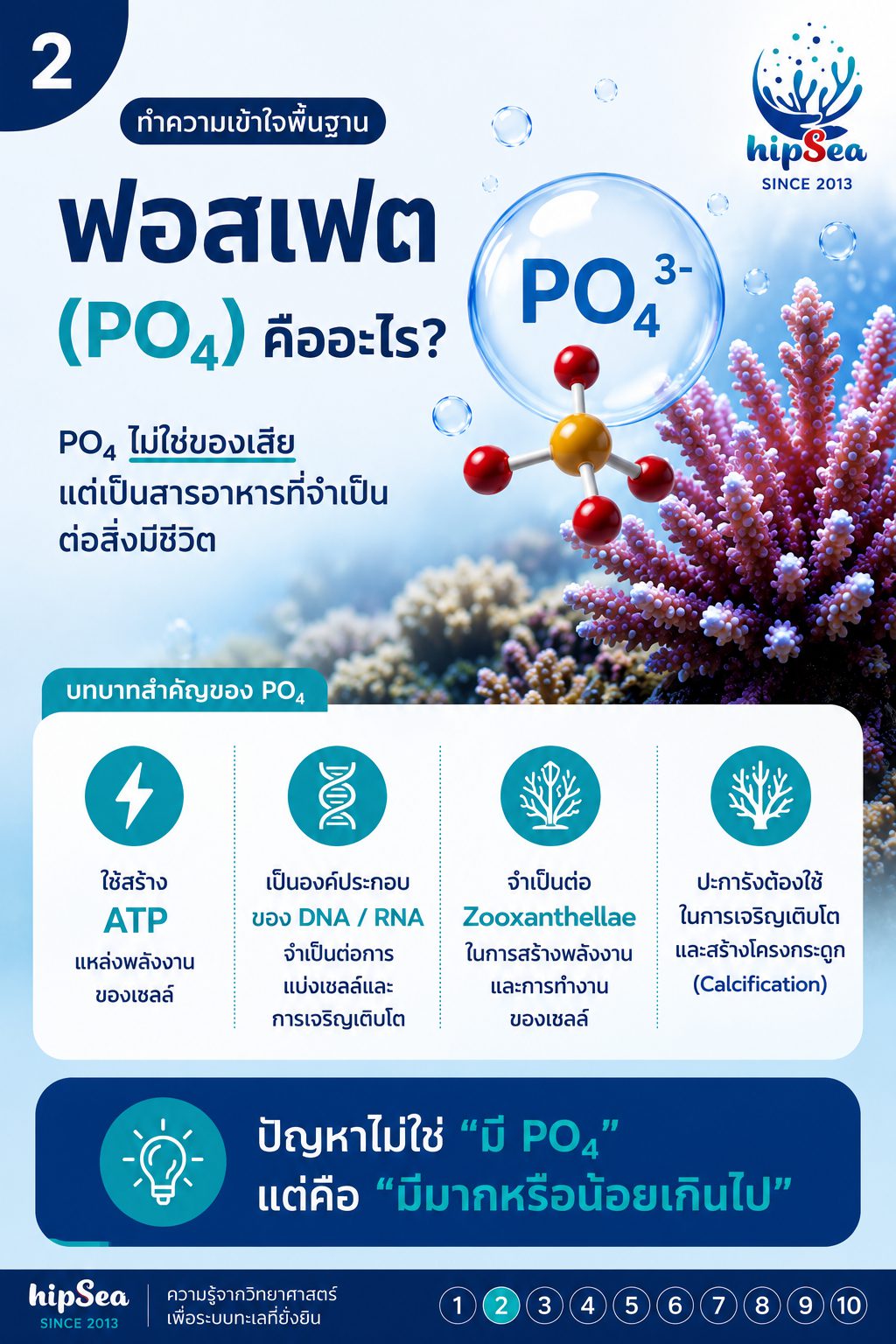 PO4 สูงอย่าเพิ่งรีบลด