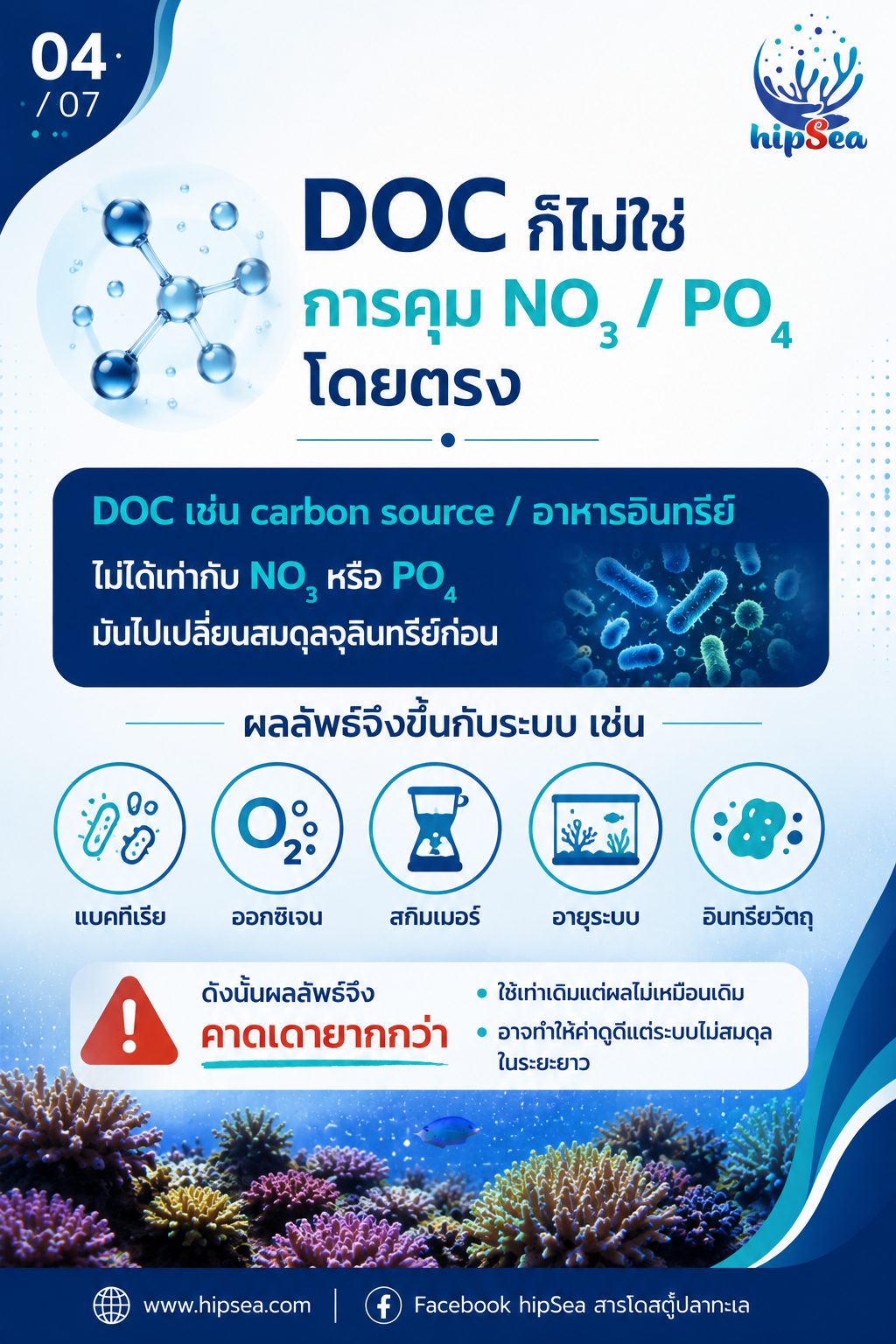 ทำไมต้องเติม NO3-PO4 - นิ่ง, โดส