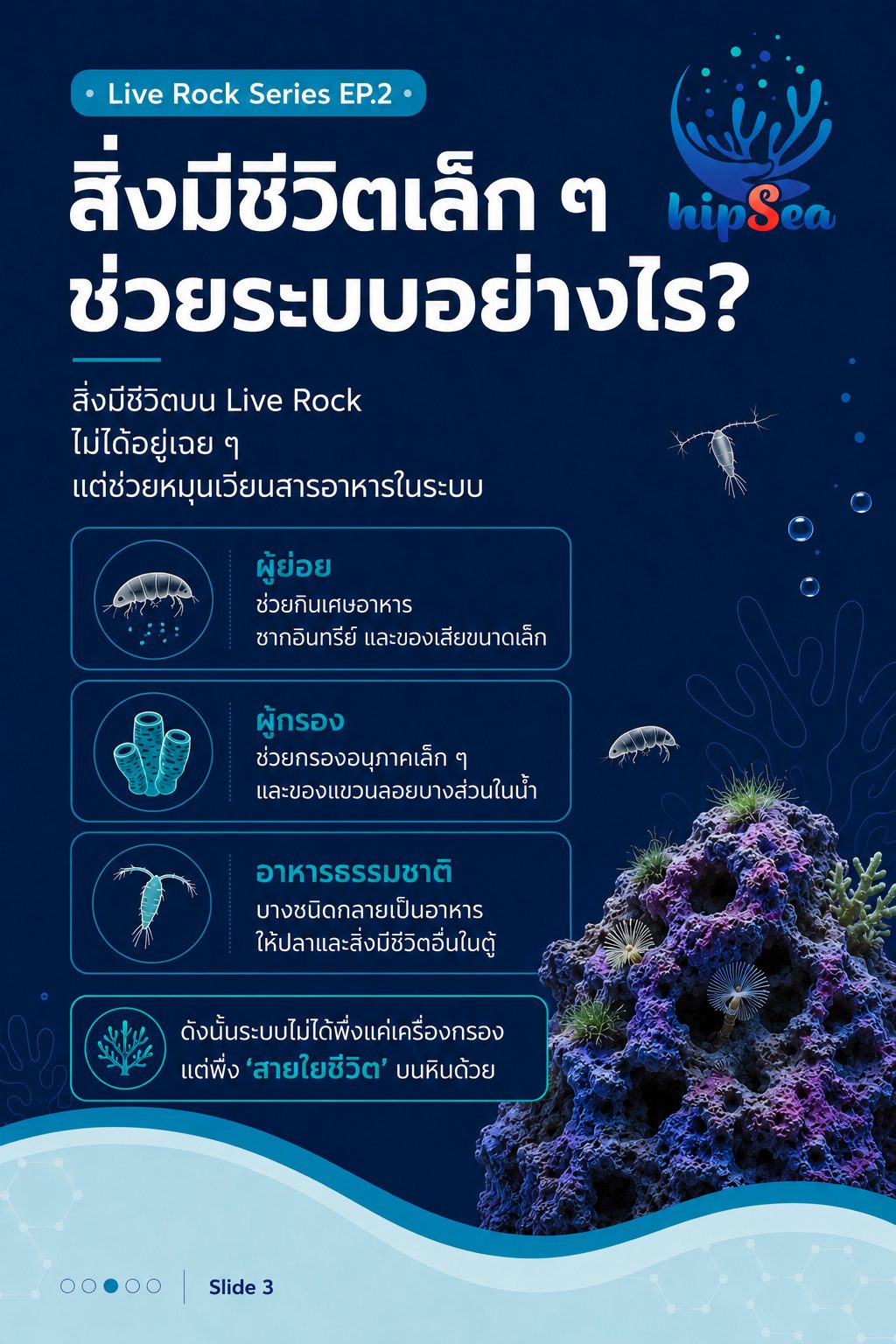 Live rock EP2 - หินเป็น