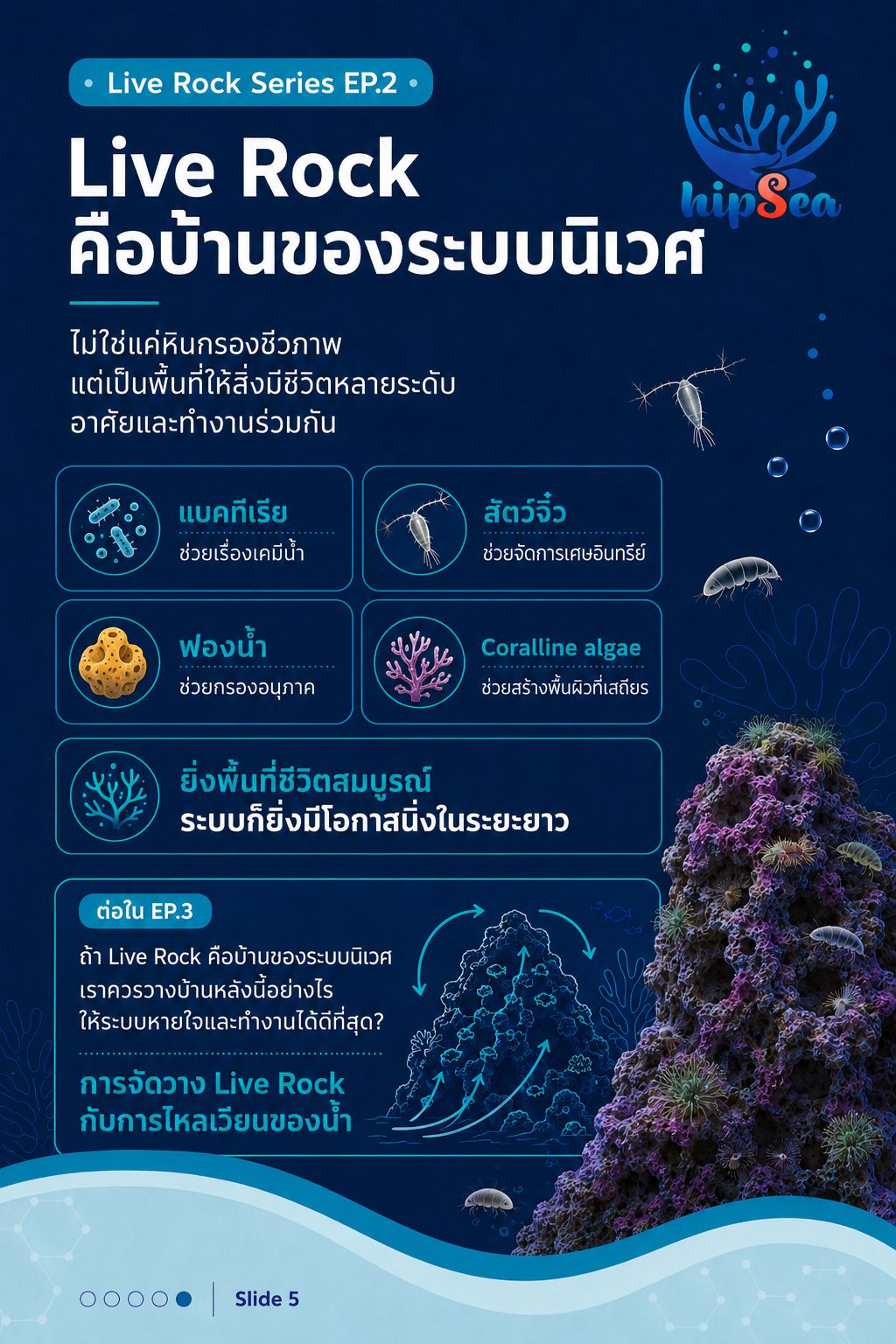 Live rock EP2 - หินเป็น