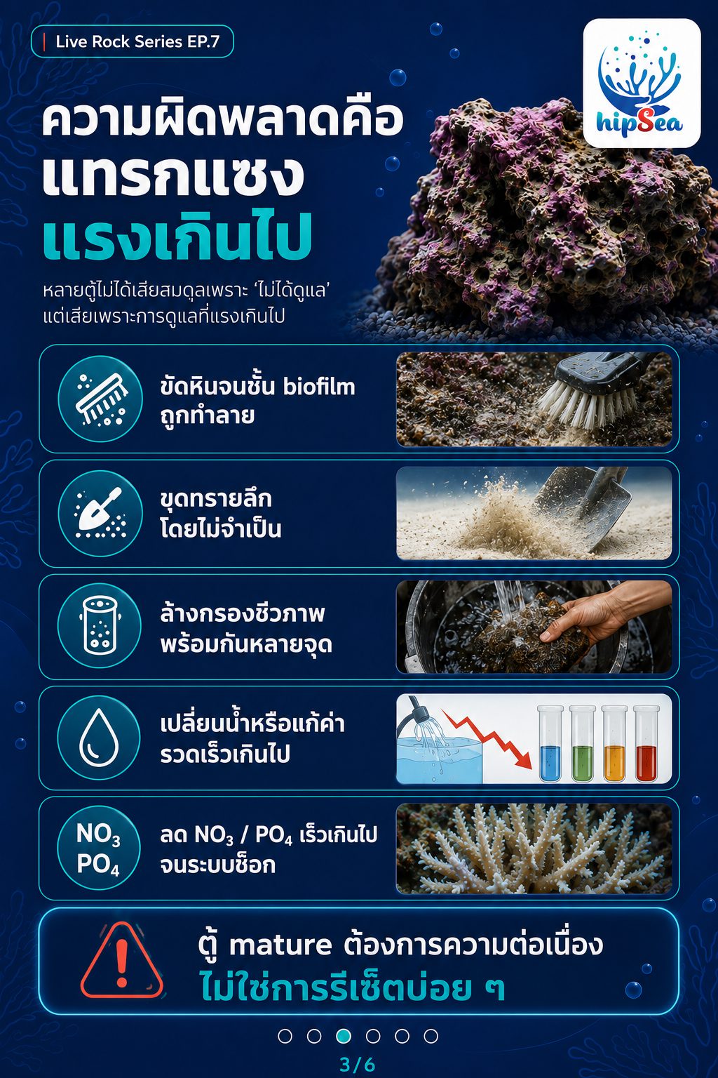 Live rock EP7 - หินเป็น