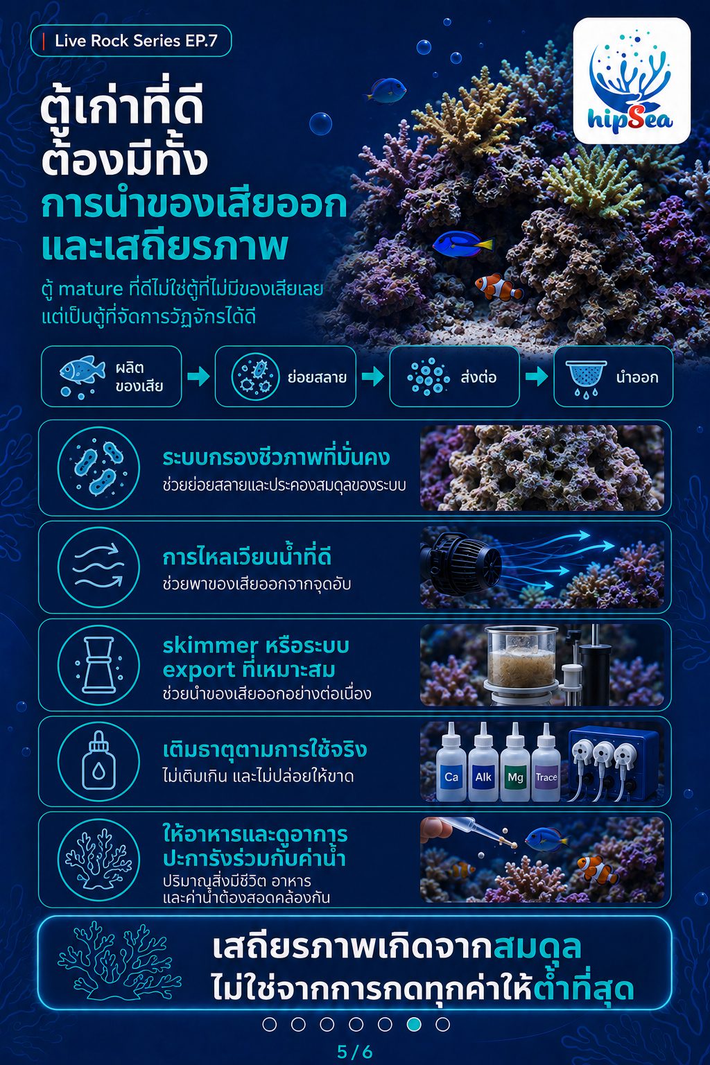 Live rock EP7 - หินเป็น