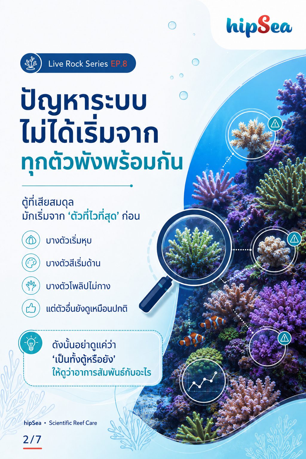 Live rock EP8 - หินเป็น