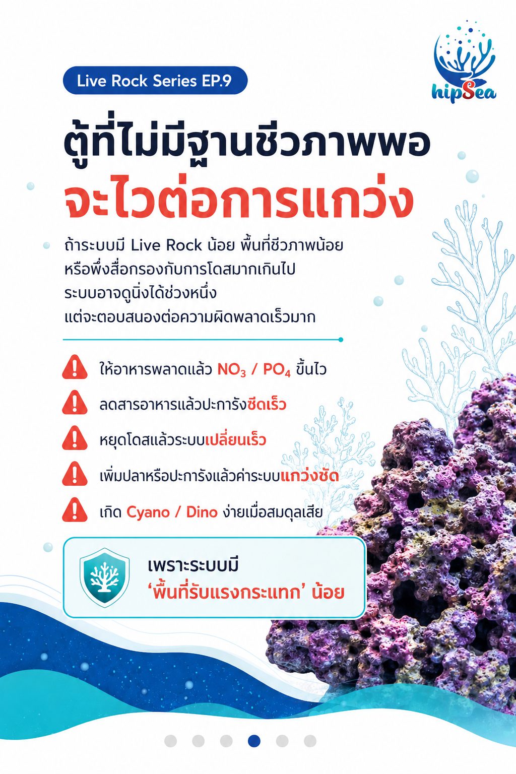 Live rock EP9 - หินเป็น