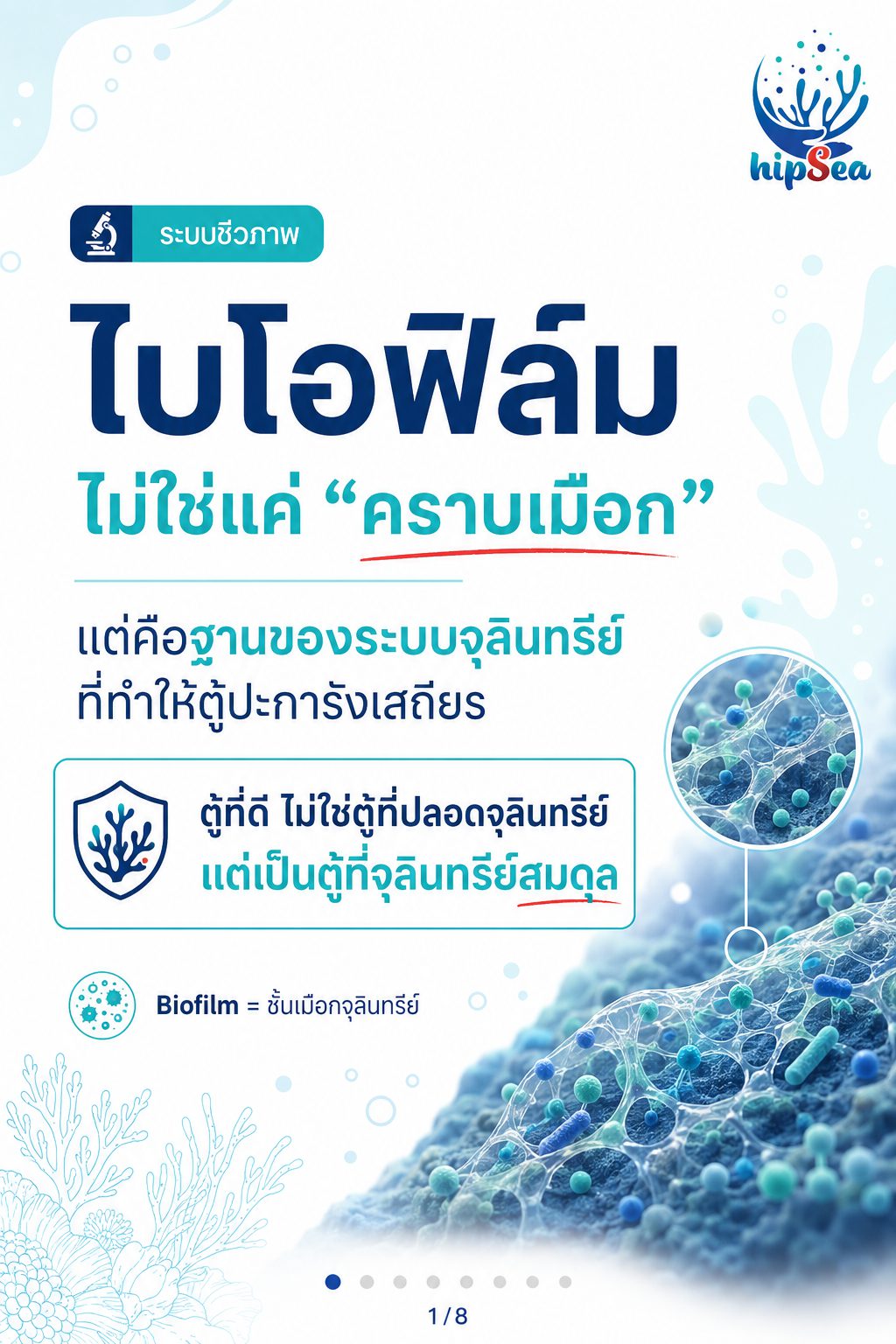 Biofilm รู้ไหมคืออะไร