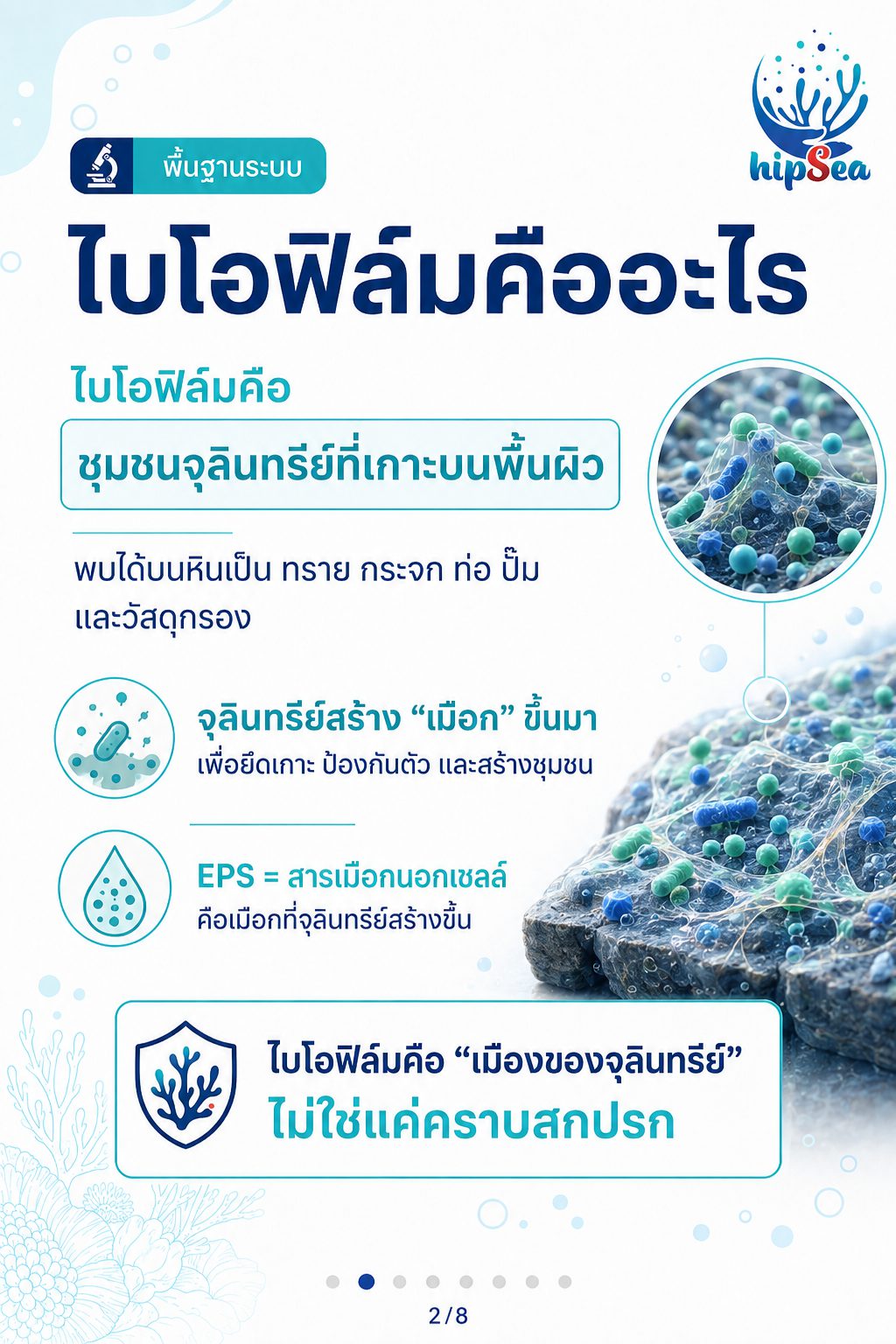 Biofilm รู้ไหมคืออะไร - ฟิล์มชีวภาพ, ไบโอฟิล์ม, เมือก