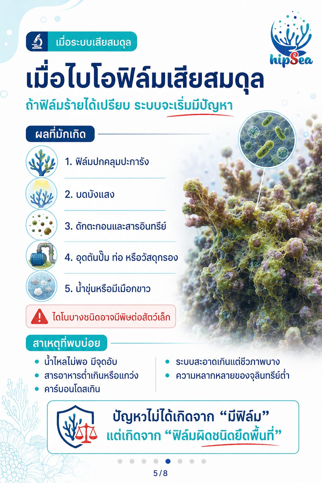 Biofilm รู้ไหมคืออะไร - ฟิล์มชีวภาพ, ไบโอฟิล์ม, เมือก