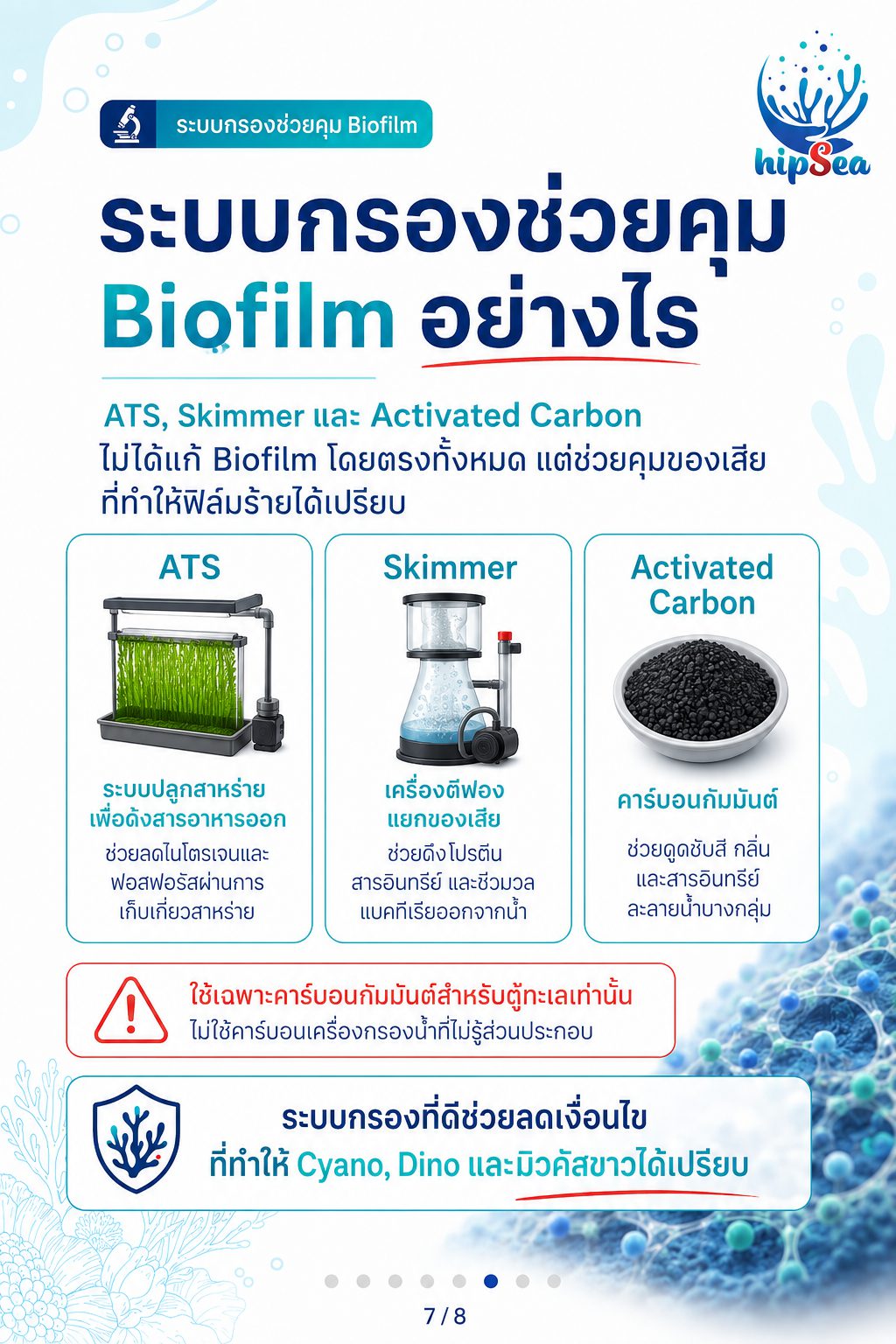 Biofilm รู้ไหมคืออะไร - ฟิล์มชีวภาพ, ไบโอฟิล์ม, เมือก