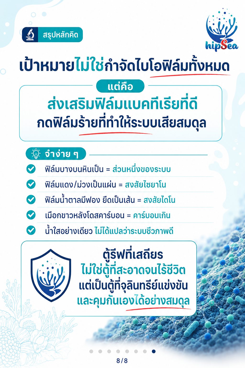 Biofilm รู้ไหมคืออะไร - ฟิล์มชีวภาพ, ไบโอฟิล์ม, เมือก