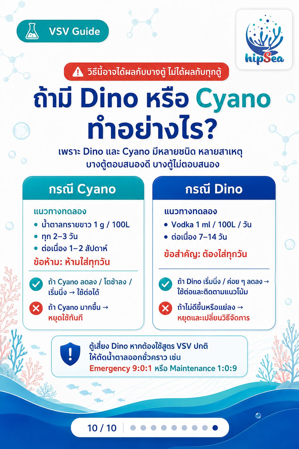 VSV - carbon, carbonsource, คาร์บอน, วีเอสวี
