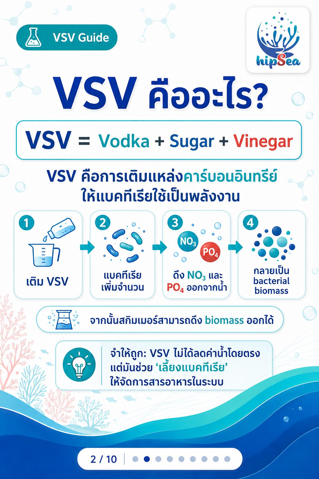 VSV - carbon, carbonsource, คาร์บอน, วีเอสวี