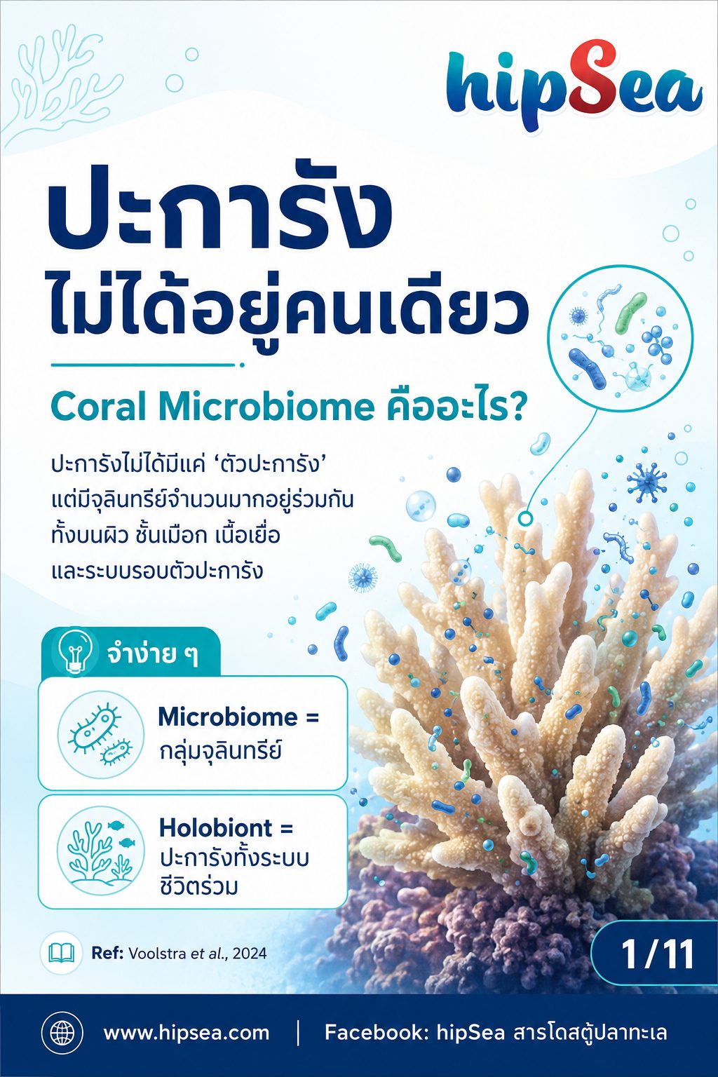 Coral Microbiome + VSV