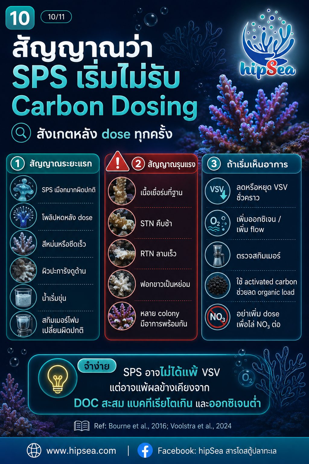 Coral Microbiome + VSV - เมือก, แบคทีเรีย, bacteria, stn, rtn