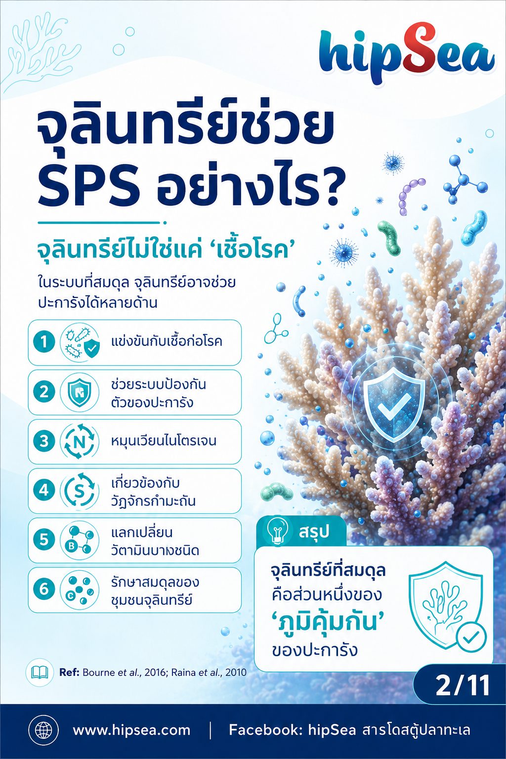 Coral Microbiome + VSV - เมือก, แบคทีเรีย, bacteria, stn, rtn