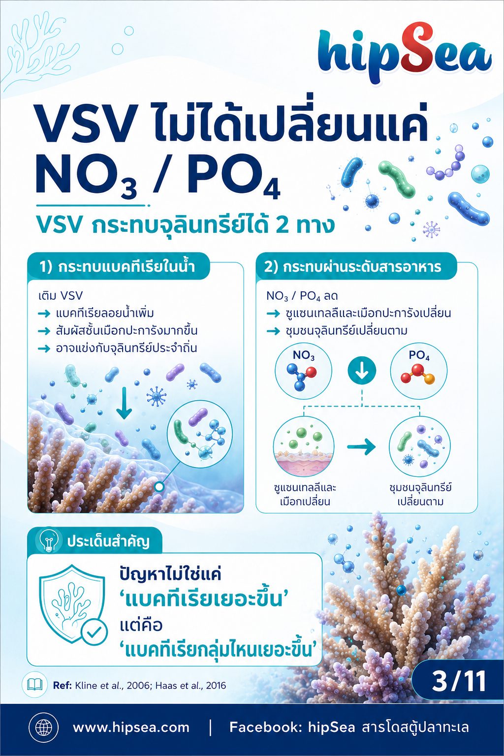 Coral Microbiome + VSV - เมือก, แบคทีเรีย, bacteria, stn, rtn