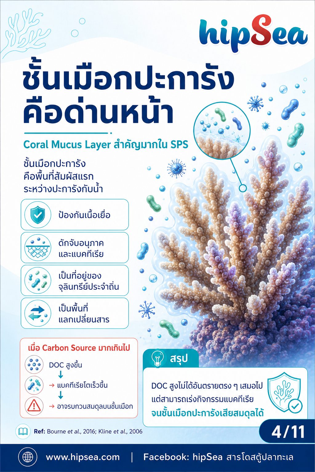 Coral Microbiome + VSV - เมือก, แบคทีเรีย, bacteria, stn, rtn